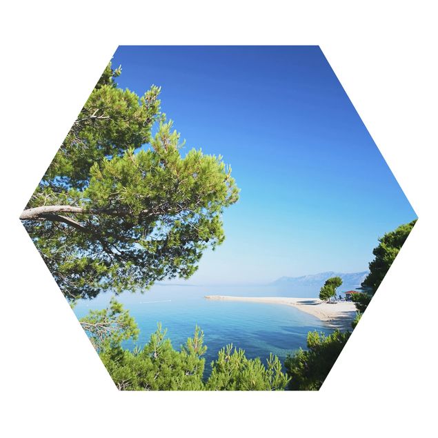 Hexagon Bild Alu-Dibond - Hidden Paradise