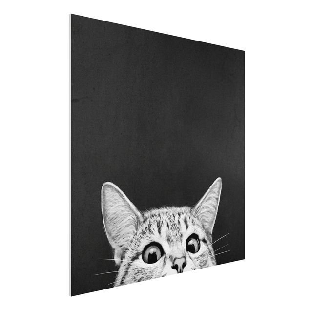 Forex Bilder Illustration Katze Schwarz Weiß Zeichnung