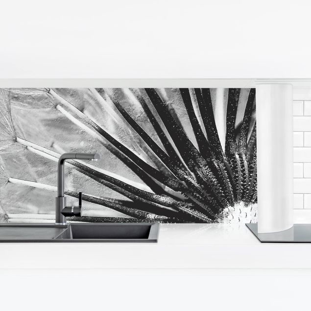 Küchenrückwand Schwarz-Weiß Pusteblume Schwarz & Weiß