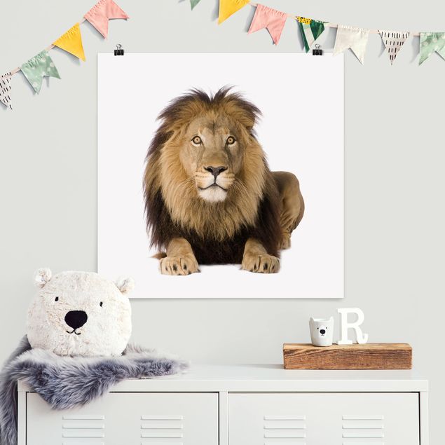 Poster Kinderzimmer Tiere König Löwe II