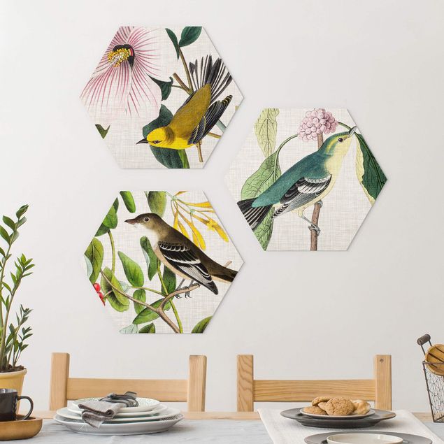 Wandbilder Tiere Vögel auf Leinen Set I