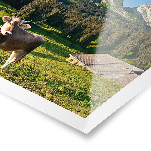 Poster bestellen Schweizer Almwiese mit Kuh