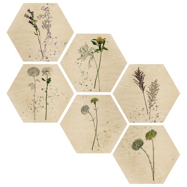 Hexagon Bild Holz 6-teilig - Botanisches Aquarell Set II