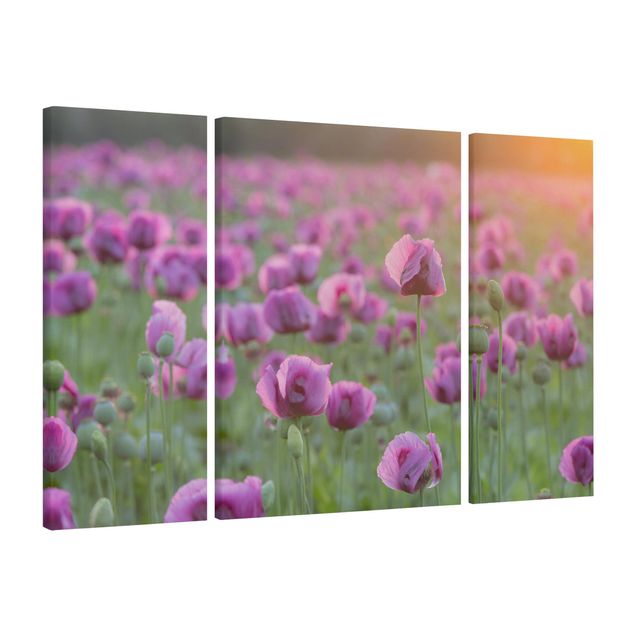 Moderne Leinwandbilder Wohnzimmer Violette Schlafmohn Blumenwiese im Frühling