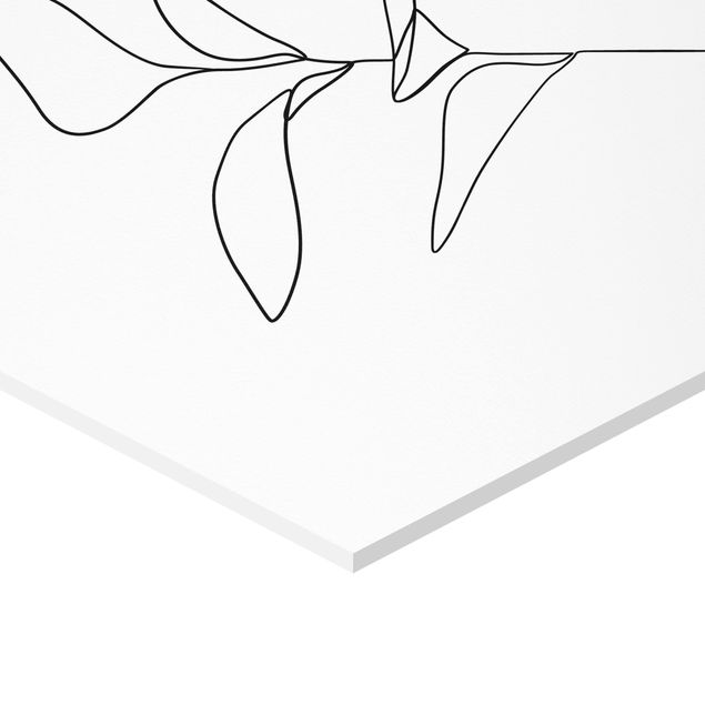 Hexagon Bild Forex - Line Art Pflanze Blätter Schwarz Weiß