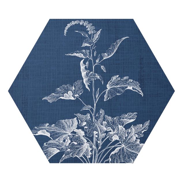 Hexagon Bild Forex - Denim Pflanzenstudie II
