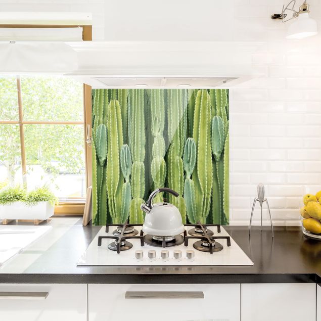 Küchenrückwand Glas Motiv Blumen Kaktus Wand