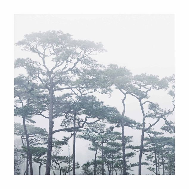 Teppich Wald Baumkronen im Nebel