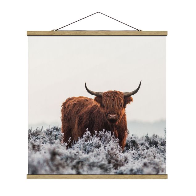 Stoffbild mit Posterleisten - Bison in den Highlands - Quadrat 1:1