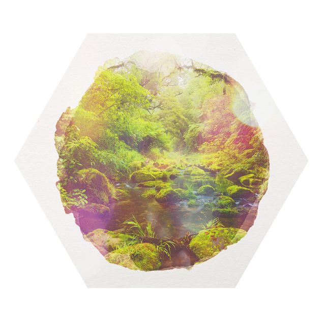 Hexagon Bild Forex - Wasserfarben - Bay of Plenty
