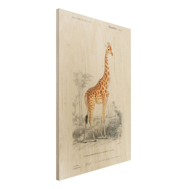 Wandbild Holz Vintage Vintage Lehrtafel Giraffe
