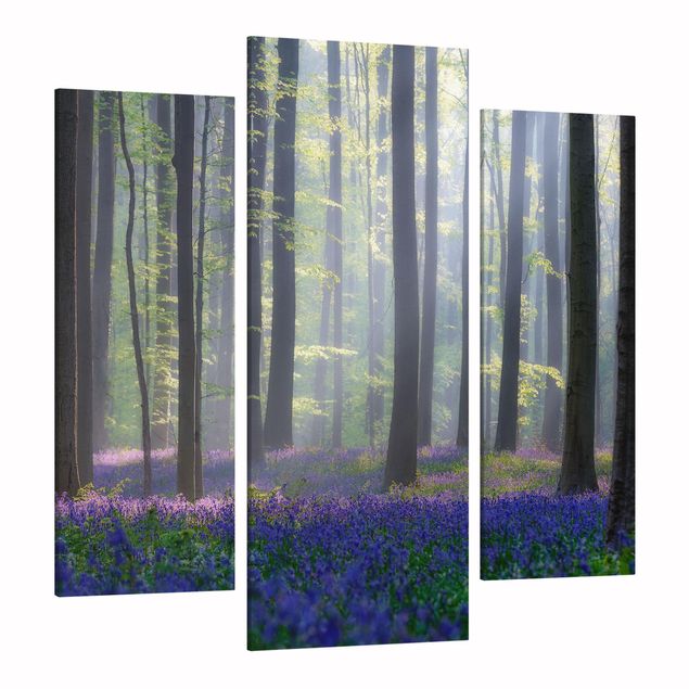 Wandbilder Wald Frühlingstag im Wald