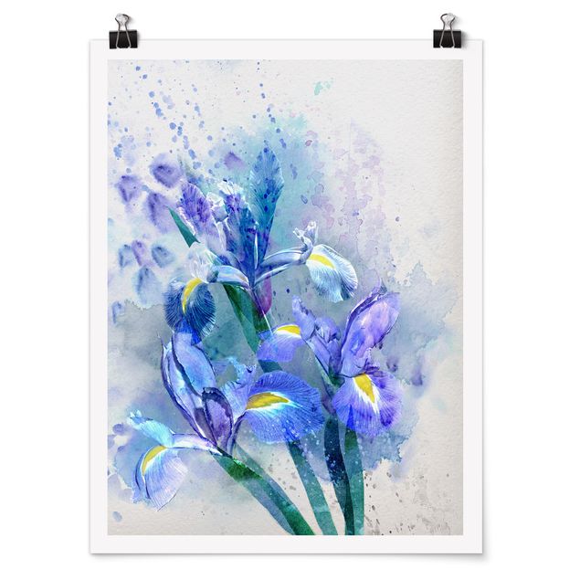 Poster - Aquarell Blumen Iris - Hochformat 3:4