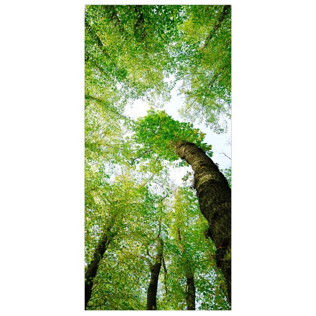 Raumteiler - Bäume des Lebens 250x120cm