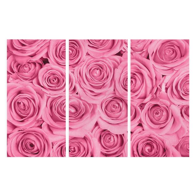 Bilder für die Wand Rosa Rosen