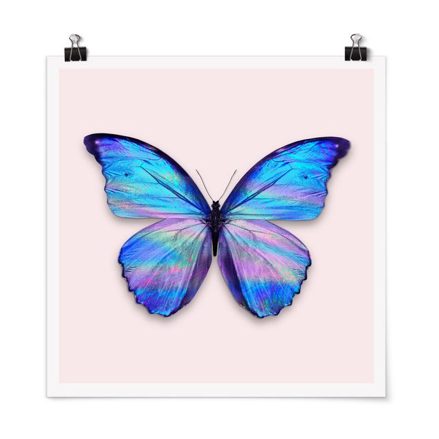 Poster - Jonas Loose - Holografischer Schmetterling - Quadrat 1:1