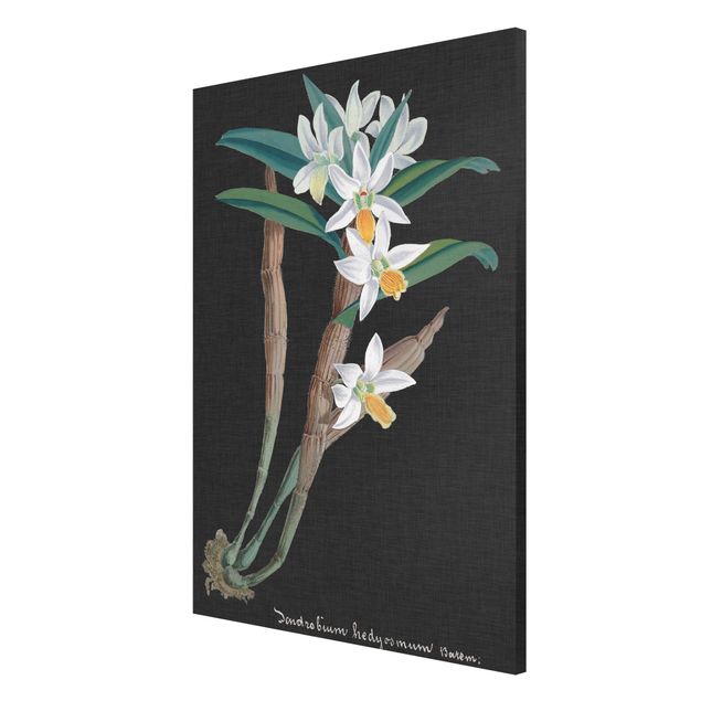 Magnettafel schwarz Weiße Orchidee auf Leinen I