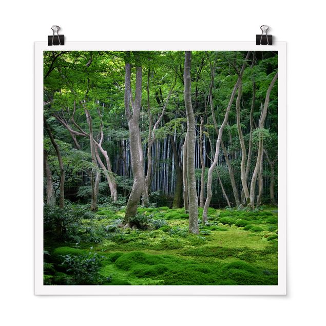 Poster kaufen Japanischer Wald