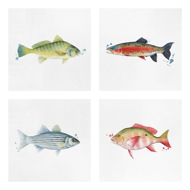 Leinwandbild 4-teilig - Farbfang - Fische Set I