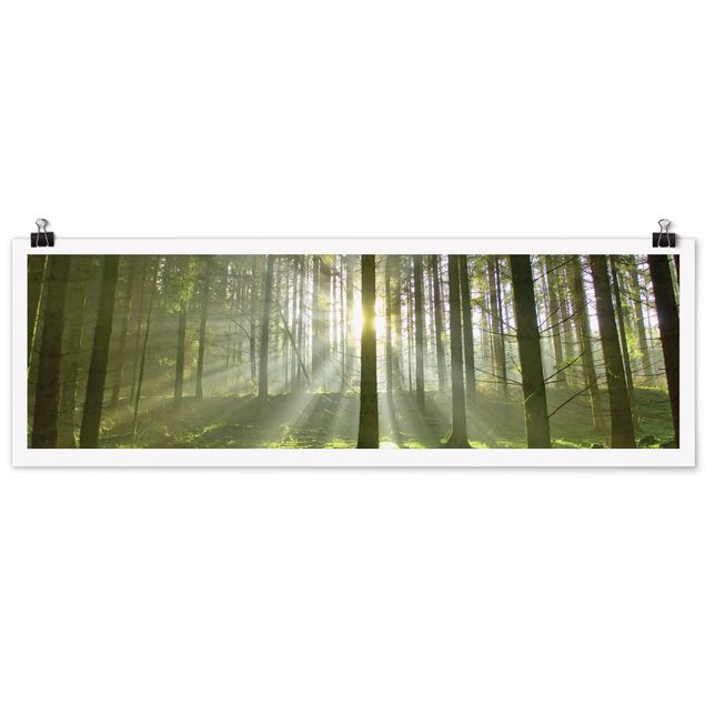 Poster - Spring Fairytale - Panorama Querformat