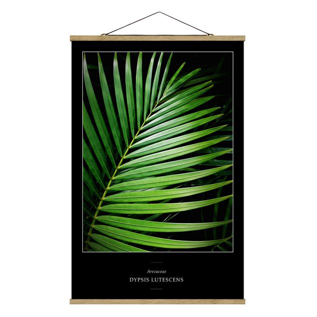 Stoffbild mit Posterleisten - Tropisches Palmblatt - Hochformat 2:3