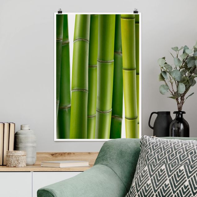 Poster Blumen Bambuspflanzen