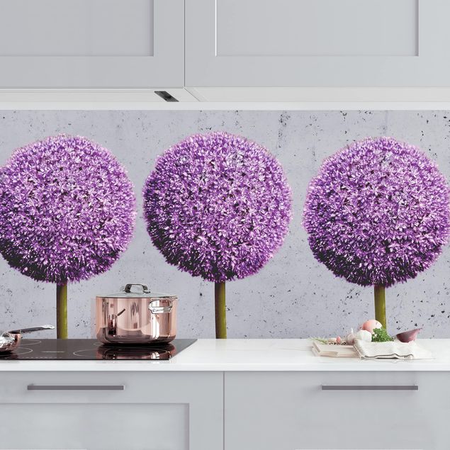 Küchenrückwände Platte Allium Kugel-Blüten I