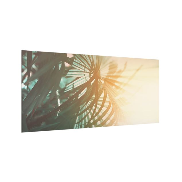 Küchenrückwand Glas Landschaft Tropische Pflanzen Palmen bei Sonnenuntergang