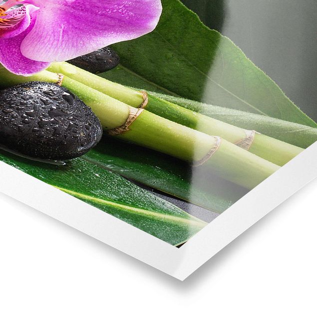 Poster - Grüner Bambus mit Orchideenblüte - Panorama Querformat