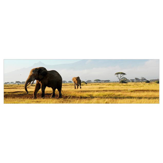 Klebe Dekorfolie Elefanten vor dem Kilimanjaro in Kenya