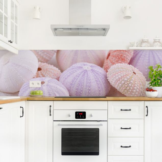 Küchenrückwände selbstklebend Seeigel in Pastell
