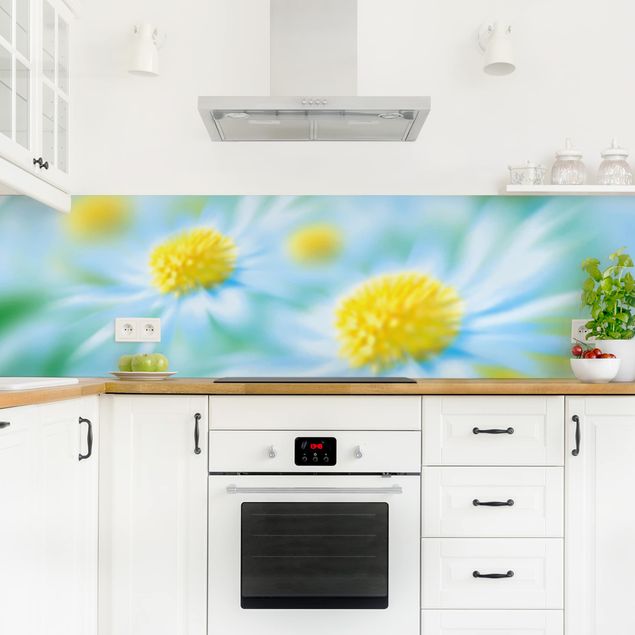 Küchenrückwand Glas Motiv Blumen Daisy