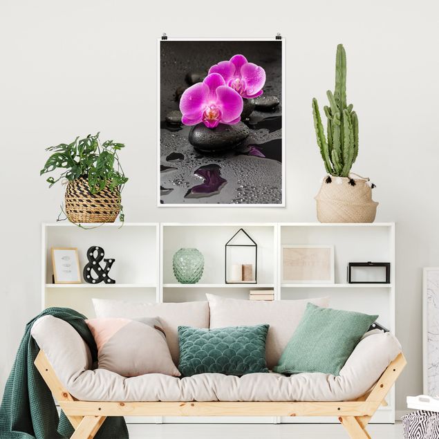 Poster Pinke Orchideenblüten auf Steinen mit Tropfen