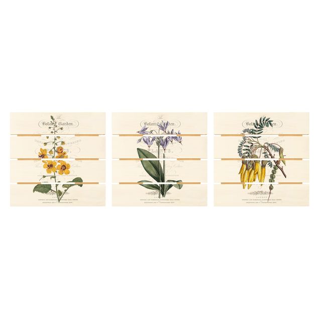 Bilder auf Holz Botanisches Tableau Set I