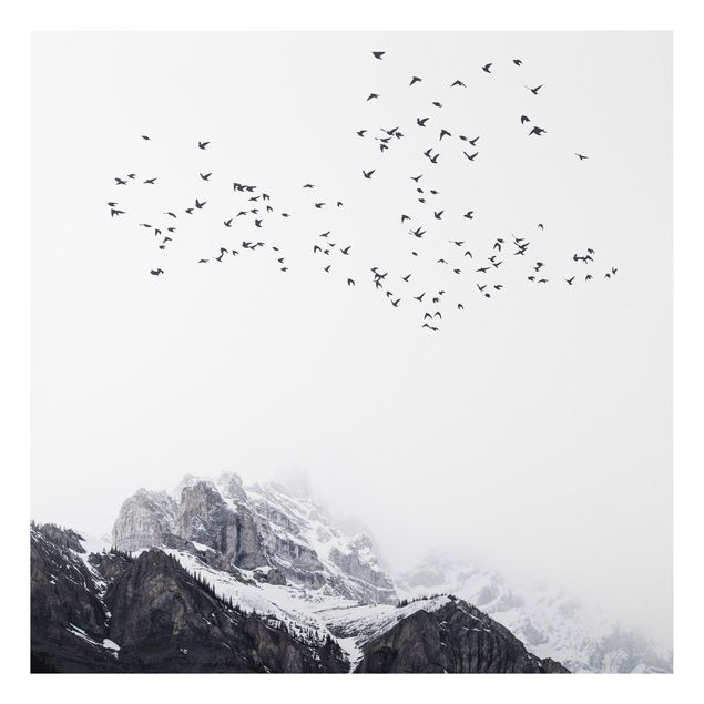 Bilder für die Wand Vogelschwarm vor Bergen Schwarz Weiß
