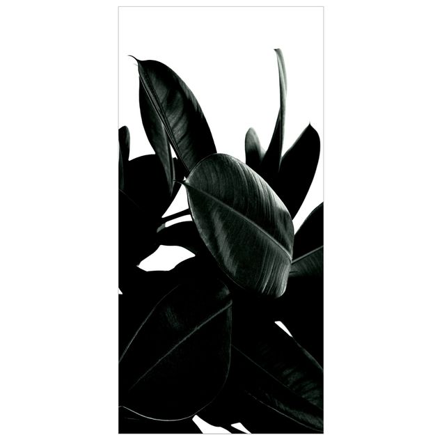 Raumteiler - Gummibaum Blätter Dunkelgrün - 250x120cm