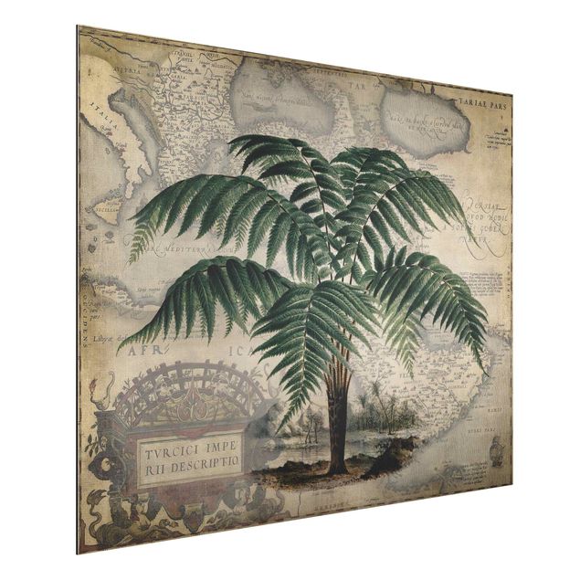 Bilder für die Wand Vintage Collage - Palme und Weltkarte