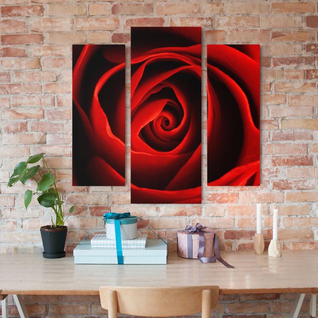 Wandbilder Rosen Liebliche Rose
