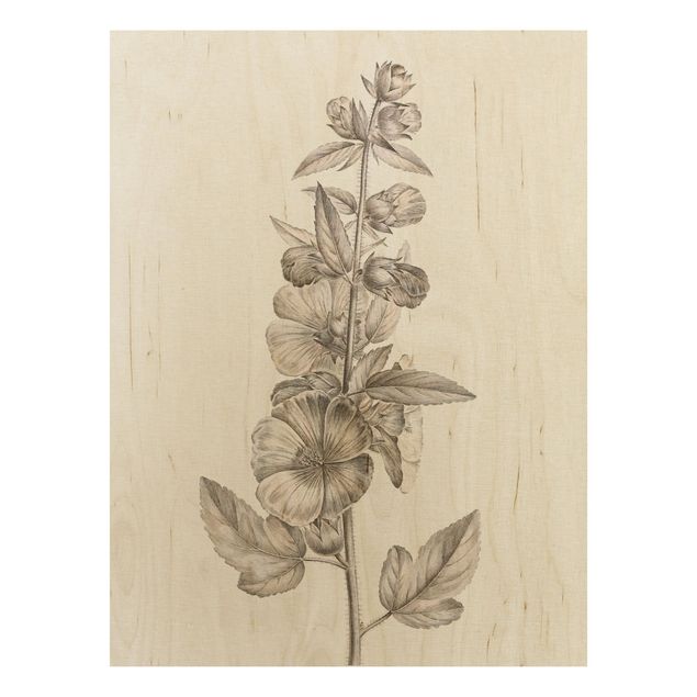Holzbild Blumen Botanische Studie in Sepia II