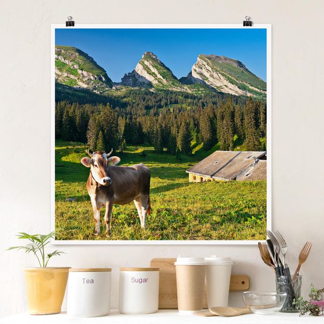 Poster Landschaft Schweizer Almwiese mit Kuh