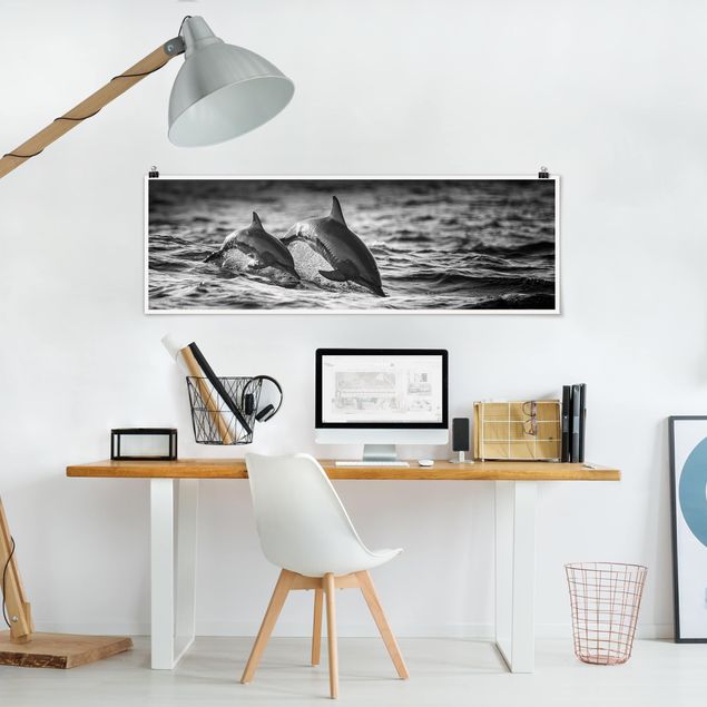 Tiere Poster Zwei springende Delfine