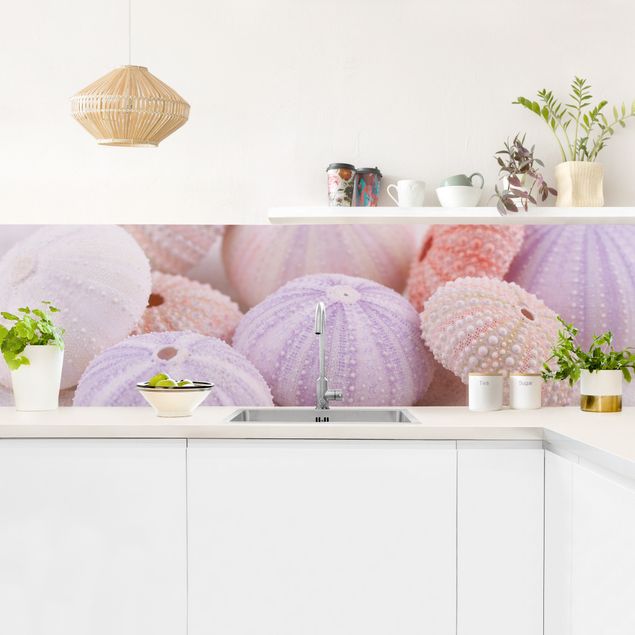 Küchenrückwand Tiere Seeigel in Pastell