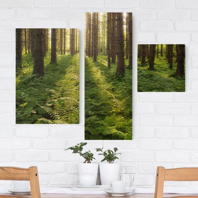 Leinwandbilder XXL Sonnenstrahlen in grünem Wald