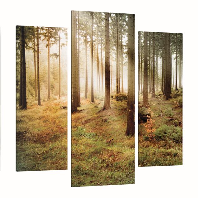Moderne Leinwandbilder Wohnzimmer Morning Forest