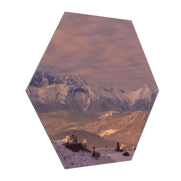 Hexagon Bild Alu-Dibond - Hohe Tatra am Morgen