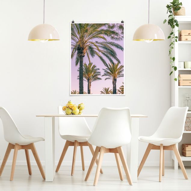 Wandbilder Palmen im Sonnenuntergang