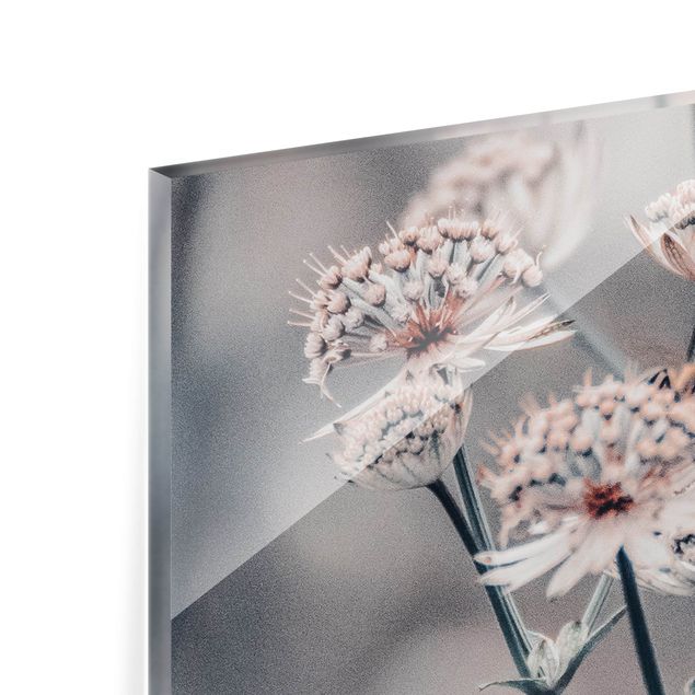 Spritzschutz Glas - Mystischer Blütenstrauch - Panorama 5:2