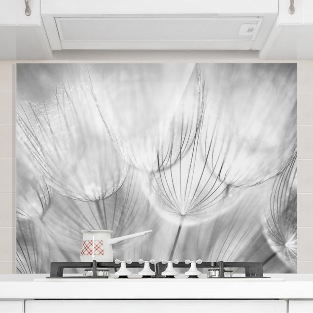 Spritzschutz Glas magnetisch Pusteblumen Makroaufnahme in schwarz weiß