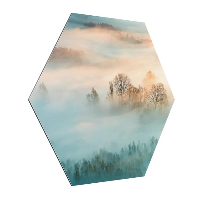Hexagon Bild Alu-Dibond - Nebel bei Sonnenaufgang