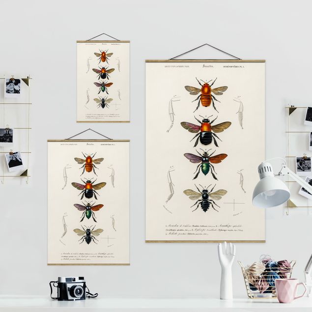 Stoffbild mit Posterleisten - Vintage Lehrtafel Insekten - Hochformat 2:3